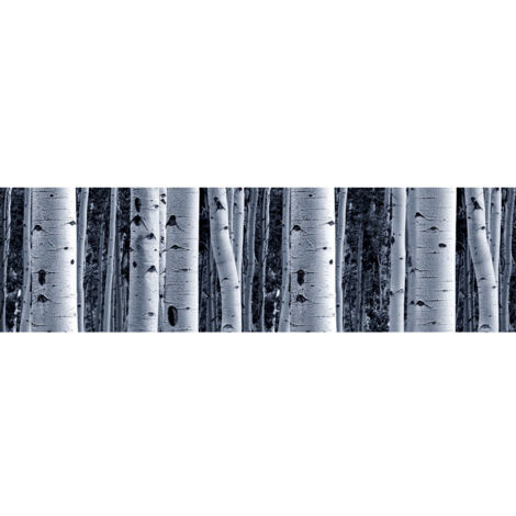 Frise auto-collante Birch - 1 rouleau de 14 cm x 500 cm (1/3)