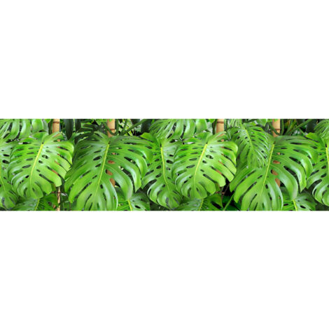 Frise auto-collante Feuilles vertes - 1 rouleau de 14 cm x 500 cm (1/3)