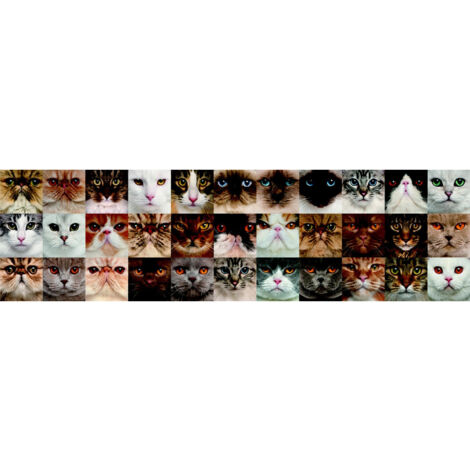 Frise auto-collante Chatons - 1 rouleau de 14 cm x 500 cm (1/2)