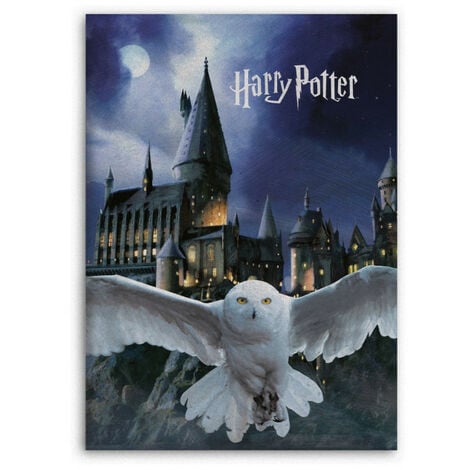 Plaid polaire Harry Potter - 100x140 cm