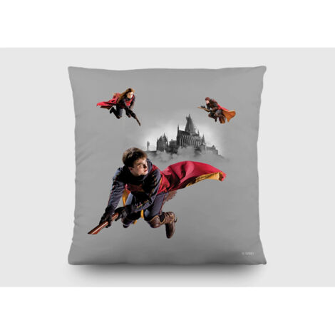 Coussin - Harry Potter Quidditch 3 personnages - 40x40 cm (1/5)