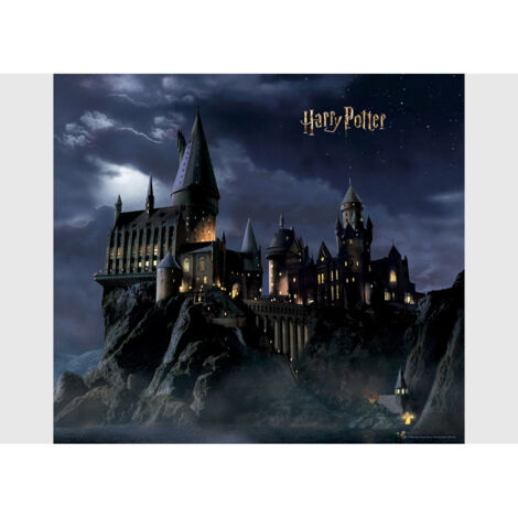 Papier peint intissé Château de Poudlard -dans la nuit  Harry Potter - 300 x 270 cm 4 lés (1/4)