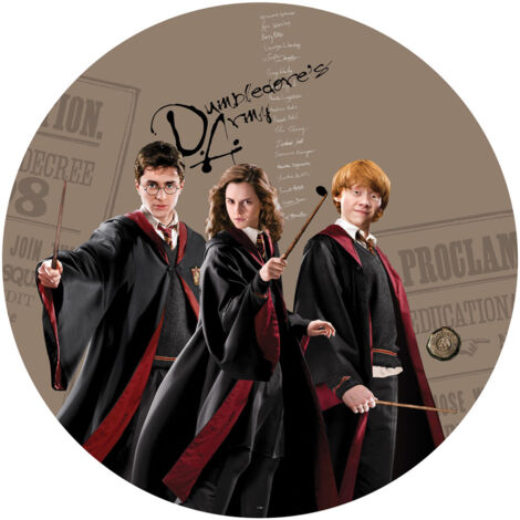 Papier peint intissé auto-adhésif rond  Harry Potter et ses amis - Hermione et Ron - 70 x 70 cm (1/5)