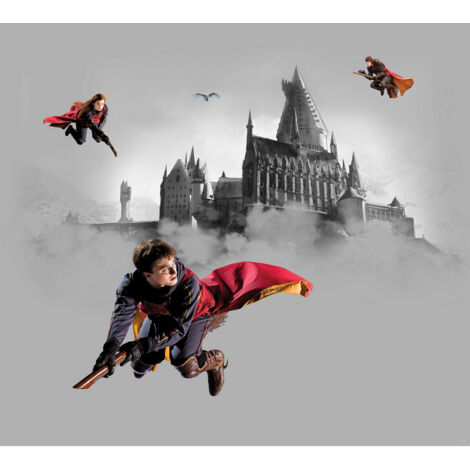 Papier peint Harry Potter Quidditch 3 personnages 225 x 270 cm – Papier intissé avec colle incluse – Impression digitale – 3 lés – Ag Art (1/3)