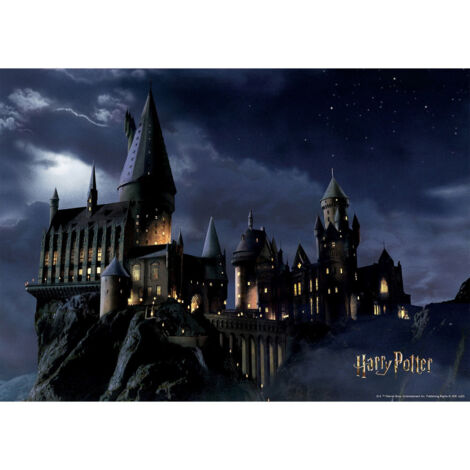 Poster intissé - Harry Potter poudlard dans la nuit - 155 x 110 cm (1/3)