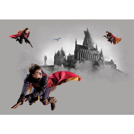 Poster intissé Harry Potter Quidditch 3 personnages - 155 x 110 cm (1/4)