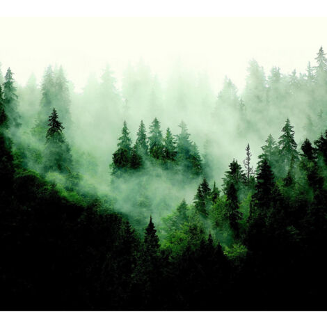 Papier peint foret d'arbre avec brouillard 225 x 270 cm (1/3)