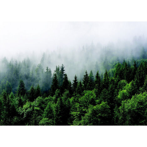 Poster intissé foret brouillard - 155 x 110 cm