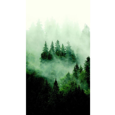 Poster intissé - foret sombre avec brouillard - 150 x 270 cm (1/3)