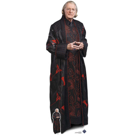 Figurine en carton David Bradley - Doctor Who - Acteur Britannique - Haut 183 cm (1/5)