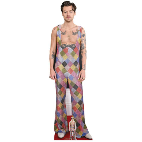 Figurine en carton Harry Styles en Salopette multicolore - Chanteur Britannique - Haut 185 cm (1/4)