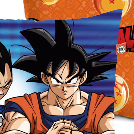 Plaid Dragon Ball Son Goku 1017 Couverture Polaire Plaid Canapé