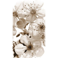Rideau à fleur, imprimé zoom sur fleurs blanches et noirs 140x245 cm, 1 pièce
