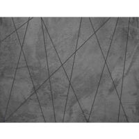 Poster Thème lignes noires - 360 x 270 cm