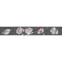 Frise auto-collante Flora Color - 1 rouleau de 14 cm x 500 cm