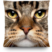 Coussin tête de chat - 45 cm x 45 cm