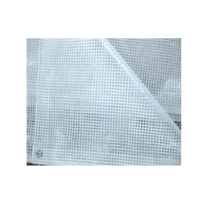 Copertura Telo Telone Occhiellato PVC Retinato 5x6m - Transparente