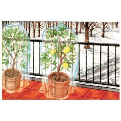 Helweet 2 Cappucci Protezione Piante Invernali In TNT 80x100 Cm - Telo Antigelo Con Coulisse Per Piante In Vaso E Rose - 2