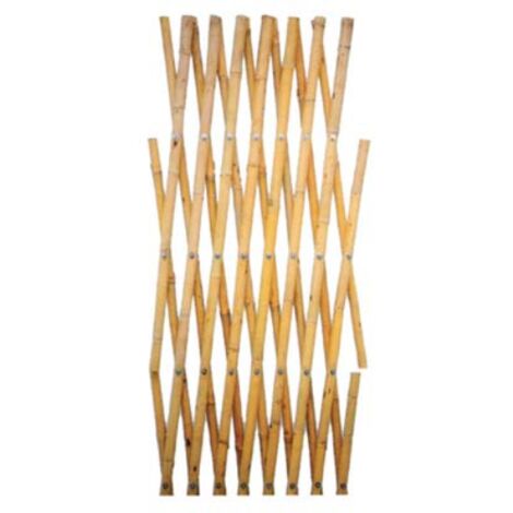 Traliccio canna bamboo mm 16/18 cm 200x200 (5 pezzi) Domus (1/2)