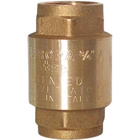 ITAP Mod. 100 – Valvola Di Ritegno Europa Diametro 2" 1/2