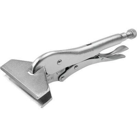 Pinza immagine stock. Immagine di ferro, vecchio, famiglia - 29726817