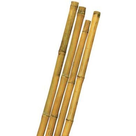 4PZ TUTORE SOSTEGNO CANNA IN PLASTICA PER PIANTE ORTAGGI D 57 CM 200 37762 4 36913294