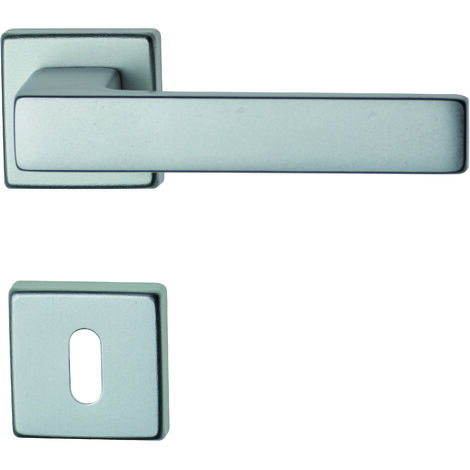 Ghidini maniglia carlo con rosetta patent alluminio anodizzato argento - Ghidini