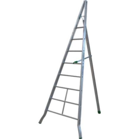 Scala triangolare agri facal alluminio h.cm 250 pioli 6 Facal