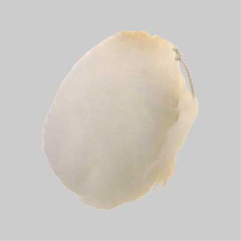 Cuffia con laccio di chiusura ø 190 mm PG PROFESSIONAL (1/2)