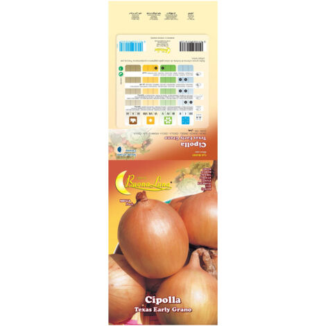 SEMI ORTO CIPOLLA TEXAS- 10,0 Pz - Foto 10