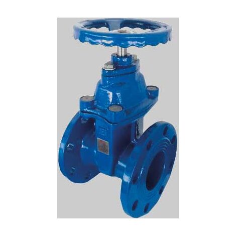 SARACINESCA CORPO PIATTO CUNEO GOMMATO PER FLANGIA DN 100 MADE IN ITALY