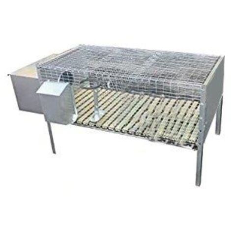 Gabbia x conigli 1 fattrice acciaio zincato cm 100x50 h.cm 60 (1/2)