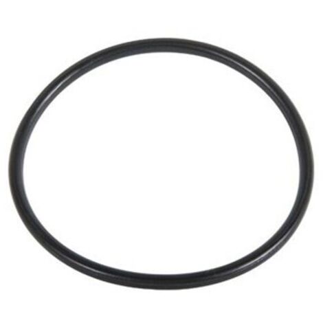 O.RING PER FILTRO 244-HYMFI 75.87 x 2.62 - Tipo F IRRIT