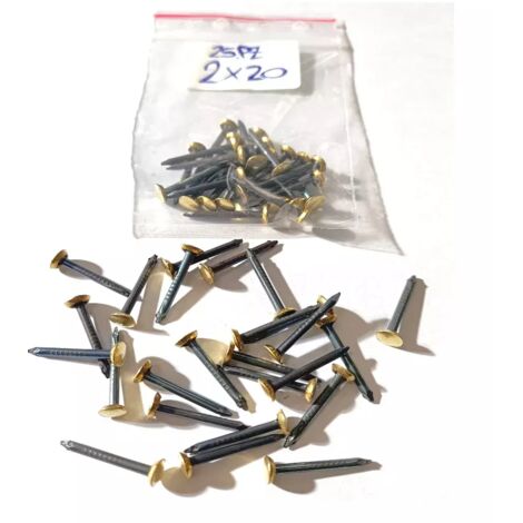 CHIODI ACCIAIO mm. 2X20 TESTA BOMBATA OTTONATA -CONFEZ. DA 25 -OFFERTA- (1/2)