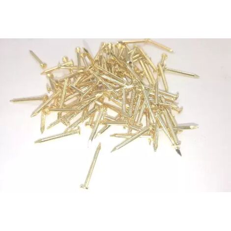 CHIODO TT FERRO OTTONATO 1X10 MG14191
