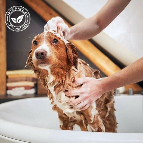 Shampoo antiossidante Aquarius per cani e gatti 550ml Offerta esclusiva