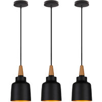 3PCS Nordisch Pendelleuchte Moderne Hängelampe Retro Hängeleuchte Antike Deckenleuchten Schwarz für Wohnzimmer Küche Bar Büroleuchte