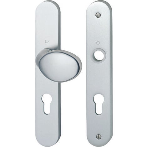 Poignée de porte palière - Verona - Hoppe Et Cie - Gris argent - Clé I - 195 mm