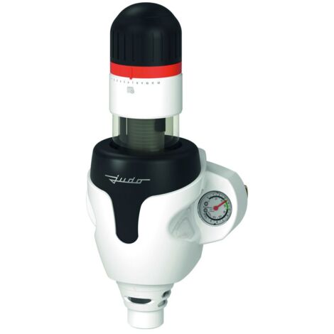 Judo Profi-Quick Connection Rückspül-Schutzfilter JPF-QC 1'' 8010219