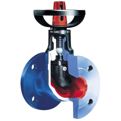 ARI Absperrventil mit Flansch Euro-Wedi 10070 DN 80, PN 80, EN-JL1040, EN 558 FTF-14