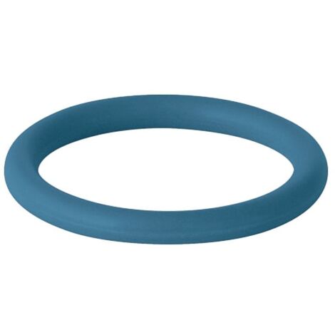 Geberit Mapress Dichtring FKM LABS-frei 54mm Blau, 90888 (1/3)