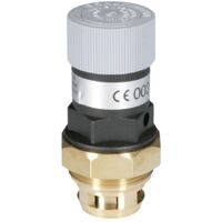 Resideo SV-Austauschsatz A160 1 1/4", 8 bar, A160-11/4AB