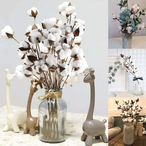 20 Piezas Rama de algodón Flores secas de algodón natural Ramas de algodón  Flores artificiales Flores