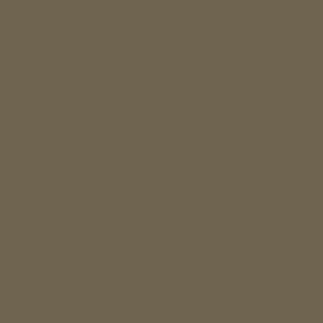 LOOKS by Wolfgang Joop Clay Brown Matt Wandfarbe 2,5L