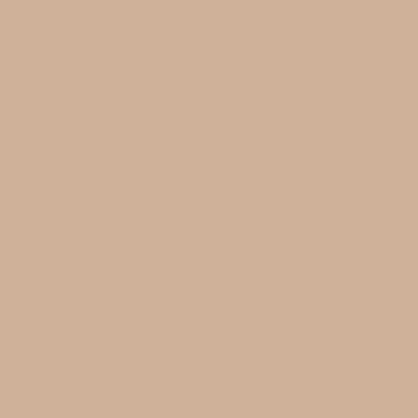 LOOKS by Wolfgang Joop Blush Rosa Matt Wandfarbe 2,5L