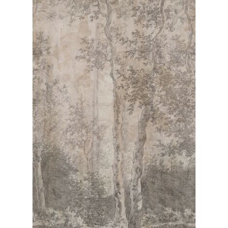 LOOKS by Wolfgang Joop Birch Trees Fototapete 270x200cm