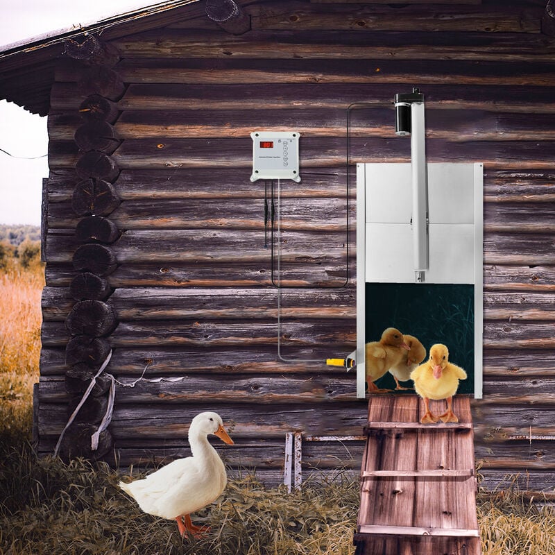Puerta automática de gallinero, sensor de luz, auto arriba y abajo, casa de  gallinero, accesorios de gallinero, abridor automático de puerta para