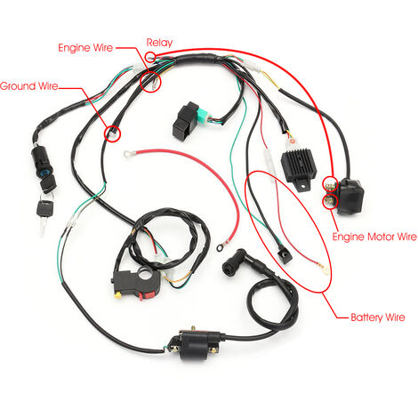 Complete Wiring Harness Kit For 200/250/350cc Quad – Includes Rectifier, Solenoid, Coil, Ignition