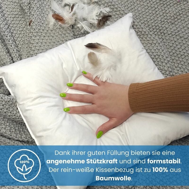 viele Maße 2 Stück 2er Set Federkissen 100% Federn 30x50 cm 330g OekoTex Kissen Füllkissen Bezug Baumwolle weiß I Innenkissen / Kissenfüllung / kleine Kopfkissen viele Maße 2 Stück 2er Set Federkissen 100% Federn 30x50 cm 330g OekoTex Kissen Füllkissen Bezug Baumwolle weiß I Innenkissen / Kissenfüllung / kleine Kopfkissen