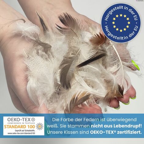 viele Maße 2 Stück 2er Set Federkissen 100% Federn 30x50 cm 330g OekoTex Kissen Füllkissen Bezug Baumwolle weiß I Innenkissen / Kissenfüllung / kleine Kopfkissen viele Maße 2 Stück 2er Set Federkissen 100% Federn 30x50 cm 330g OekoTex Kissen Füllkissen Bezug Baumwolle weiß I Innenkissen / Kissenfüllung / kleine Kopfkissen